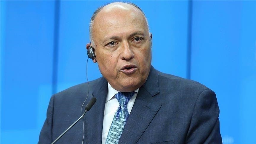 سامح شكري : هناك قدرا من التقدم في العلاقات مع تركيا