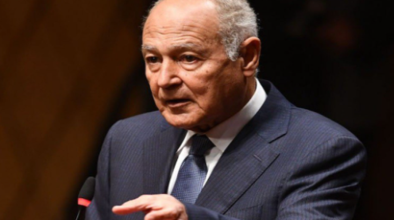 أبو الغيط: الدعم العربي للموقف المصري الأردني برفض أطروحات تهجير الفلسطينيين واضح ولا لبس فيه